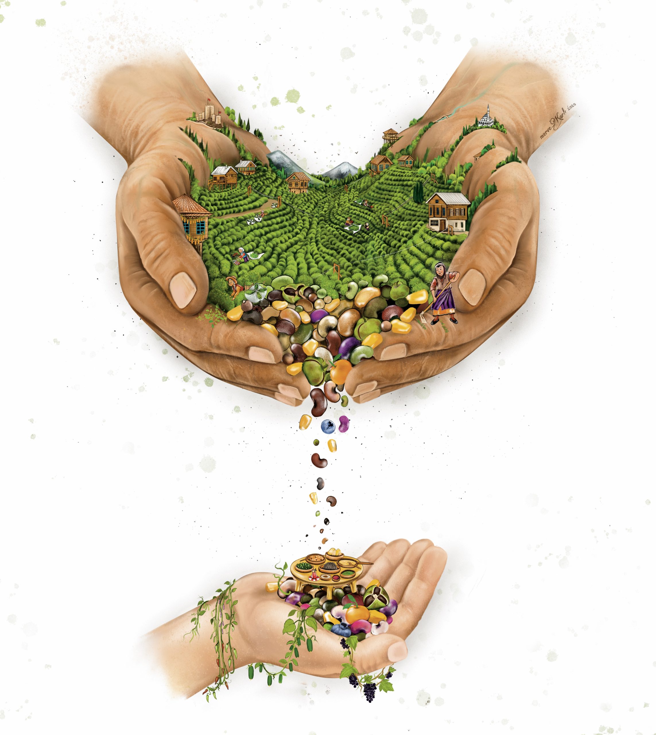 Rize gastronomi festivali afis cizim.mervekarlı